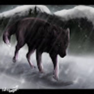 Meet your Posher, Gilbert